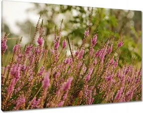 Vászonkép 100x70 Hanga virágok lila