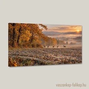 Aranyló Hajnal – prémium vászonkép 40x23 cm