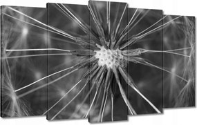 Vászonkép 100x60 Pitypang Virág Virágok