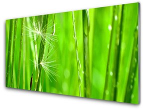 Üvegkép Grass Nature Plant 100x50 cm 2 fogas