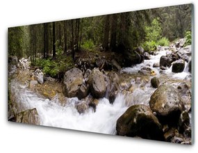 Üvegkép falra Forest River vízesés 100x50 cm 2 fogas