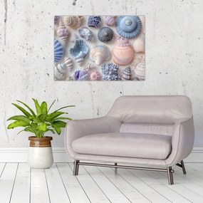 Üveg kép - Kagylógyűjtemény (70x50 cm)