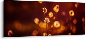 Kép - Reggel (120x50 cm)