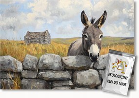 Fotótapéta Flizelina Tájkép Írország Skócia Fal Szamár 200x140 ragasztó