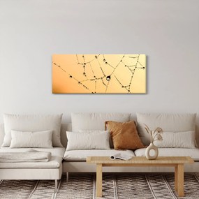 Egy harmatos pókháló képe (120x50 cm)