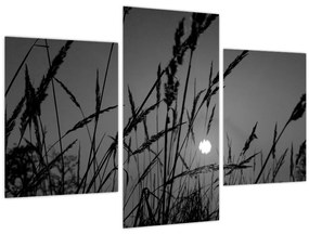 Kép - rét naplementével (90x60 cm)