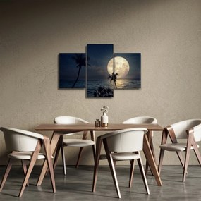 Kép - Strand telihold alatt (90x60 cm)