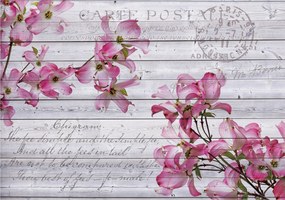 Fotótapéta Szarvas Provence Vintage Shabby Chic deszka 400x280 +ragasztó