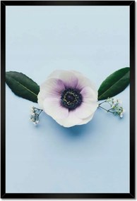 Poszter keretben 40x60 Pipacsvirág