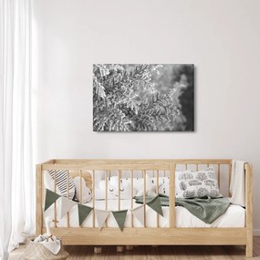 Kép - Lucfenyő erdő (90x60 cm)