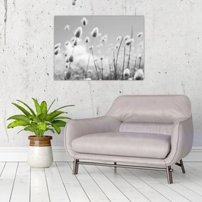 Kép - Boho nyuszi farok fű (70x50 cm)