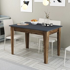 Kiev 504 - Walnut, Anthracite