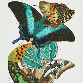 Dekoratív fotótapéta falra Könnyű összeszerelés Színes pillangók 250x250 Ragasztó