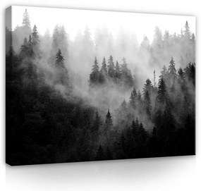 Vászonkép, Ködös erdő, 60x40 cm méretben