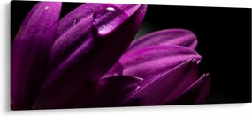Kép - Vízcsepp (120x50 cm)