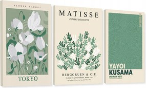 Prémium Vászonkép Matisse Pasztell Absztrakt Zöld Nappali 50x70