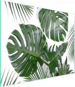 Üveg Vágódeszka 52x30 Monstera Edzett Üveg