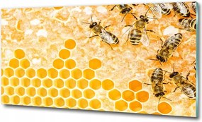 Fotó-üvegkép Dolgozó méhek 100x70
