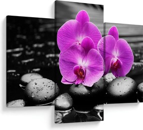Kép - Lila orchideák (90x60 cm)