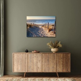 Kép - Út az északi-tengeri strandra, Hollandia (70x50 cm)