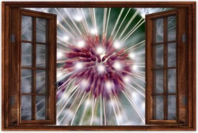 Poszterek 60x40 Pitypang Virág Virágok