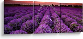 Kép - Levendula mező (órával) (90x30 cm)