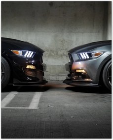 Poszterek 40x50 Face to face Mustang