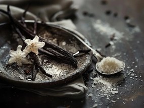 Canvas Vászonkép Konyha Főzés Étel Fűszerek Vanília 80x60