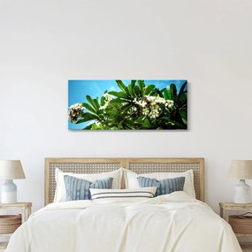 Kép - Plumeria (120x50 cm)