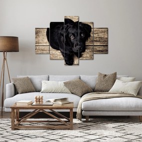 Egy fekete kiskutya képe (150x105 cm)