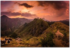 Poszterek 185x125 Tájkép bárányhegyekkel