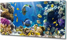 Fotó-kép edzett üveg Korallzátony 100x70