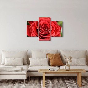 Egy rózsa virág képe (90x60 cm)