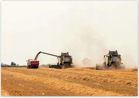 Poszterek 100x70 Kombájn a gabona betakarításához