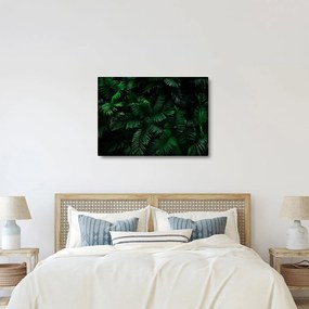 Kép - trópusi páfrány (70x50 cm)