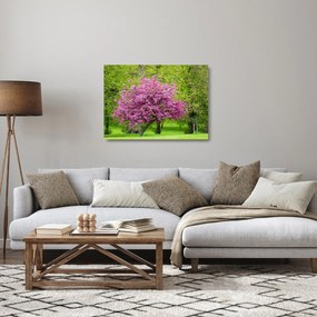 A réten virágzó fa képe (üvegen) (70x50 cm)