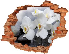 Lyuk 3d fali matrica Orchidea nd-c-144310520