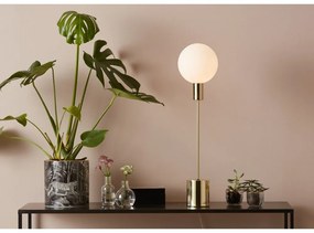 Uno Table Brass sárgarézszínű asztali lámpa - Markslöjd