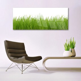 Fali üvegkép Grass Nature Plant 120x60cm
