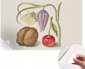 Fotótapéta Fali tapéta Hálószobába és Nappaliba Pillangó növények 416x254 cm