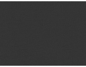Fekete kárpitozott ágyneműtartós franciaágy ágyráccsal 200x200 cm Elizabeth – Micadoni
