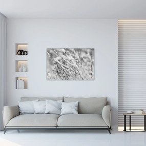 Kép - Havas ágak (90x60 cm)