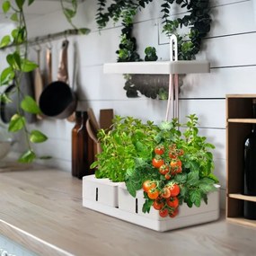 Ledvance - GARDEN KIT LED/24W/230V beltéri növénylámpa