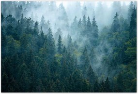 Poszterek 155x105 Erdő a ködben Utazás