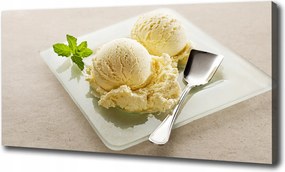 Vászonkép Fagylalt a tányéron 100x70 cm