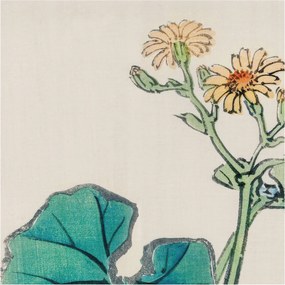 Flizelina Dekoratív Fotótapéta Hálószobába Virág és levelek 250x250 Ragasztó