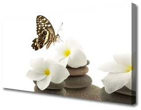 Canvas kép Butterfly Flower Plant Stones 100x50 cm