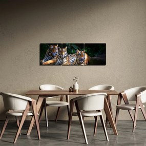 Kép - Tigris testvérek (órával) (90x30 cm)