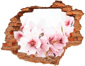 Fali matrica lyuk a falban Cseresznye virágok nd-c-79943111