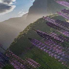 Kép - Csillagfürt táj (120x50 cm)